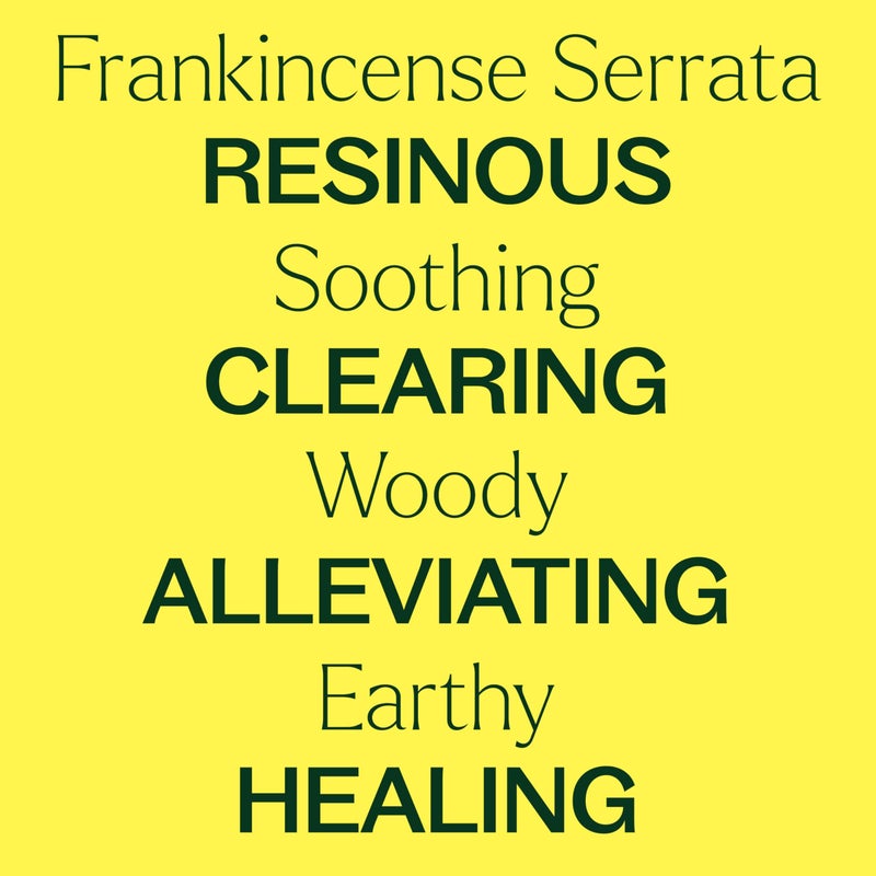 Plant Therapy Frankincense Serrata Essential Oil 100% Pure, Undiluted, Natural Aromatherapy, Therapeutic Grade 30 mL (1 oz) - Image 4